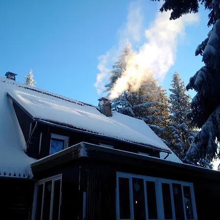 The Cabin - Harz National Park