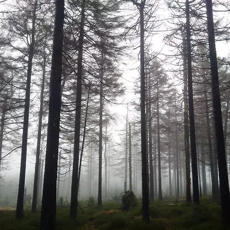 The Cabin - Harz National Park Gasthof Sankt Andreasberg