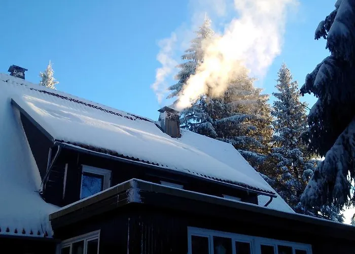 The Cabin - Harz National Park