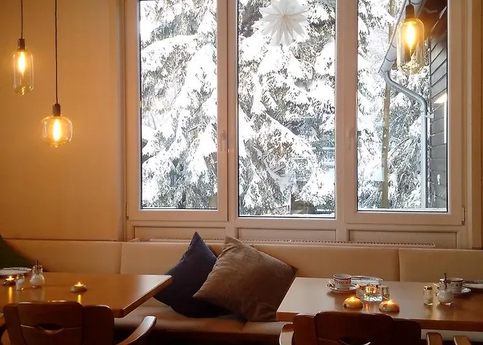 招待所 The Cabin - Harz National Park